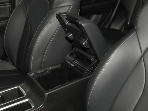 2021PLUS 1.5T DCTF g