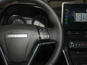 2021PLUS 1.5T DCTF(lin) п؅^(q)