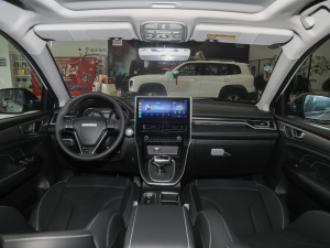 2021PLUS 1.5T DCTF ȫ