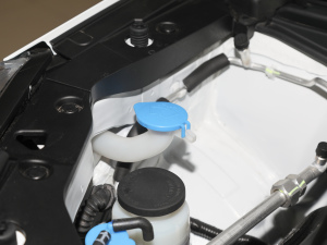 2021PLUS 1.5T DCTF 