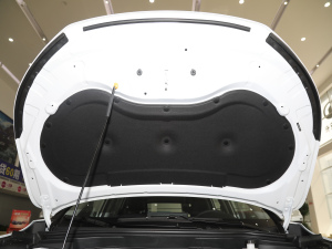 2021PLUS 1.5T DCTF 