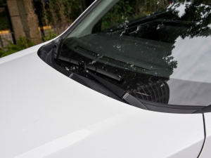 2021PLUS 1.5T DCTr ˢ