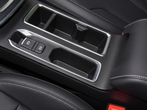 2021PLUS 1.5T DCTr g