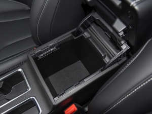 2021PLUS 1.5T DCTr g