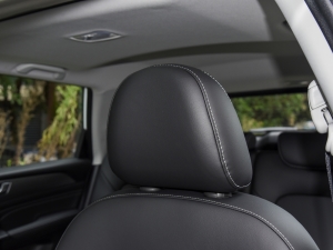 2021PLUS 1.5T DCTr g