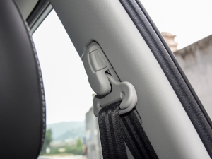 2021PLUS 1.5T DCTr g