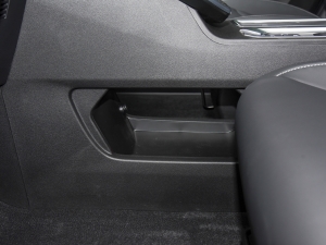 2021PLUS 1.5T DCTr g