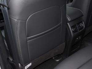 2021PLUS 1.5T DCTr g