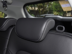 2021PLUS 1.5T DCTr g