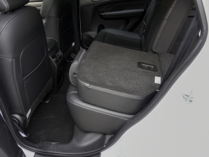 2021PLUS 1.5T DCTr g