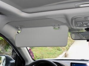 2021PLUS 1.5T DCTr ꖰ壨