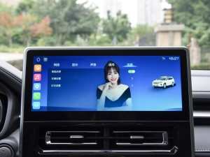 2021PLUS 1.5T DCTr(lin) п؅^(q)