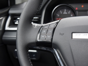 2021PLUS 1.5T DCTr(lin) п؅^(q)