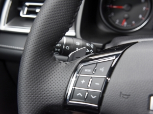 2021PLUS 1.5T DCTr(lin) п؅^(q)