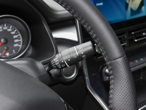 2021PLUS 1.5T DCTr(lin) п؅^(q)