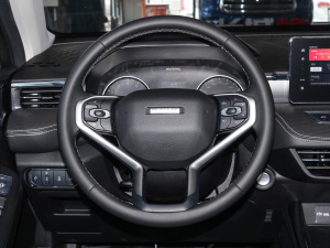 2021款1.5T 手动大二版 方向盘