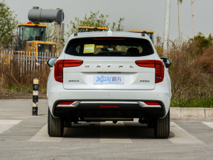 2021款1.5T 自动大一版 正后	