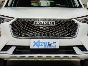 2021款1.5T 自动大一版 中网