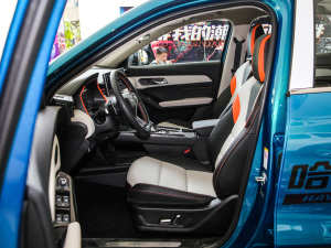 2021 1.5T S ǰſg