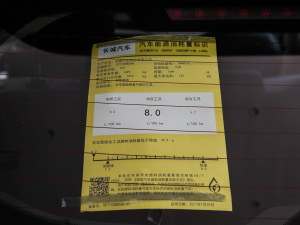 2021 1.5T S ŲͺĘ(bio)ʾ