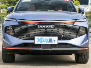 2022款1.5T 智尊版 中网