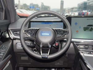 2022款2.0T 智尊版 方向盘