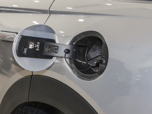 20221.5T I(lng)DHT w