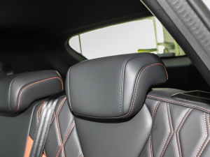 20221.5T I(lng)DHT g