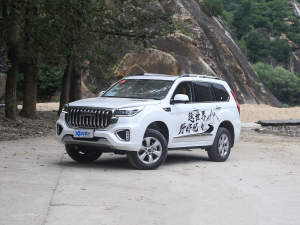 2022款2.0T 四驱尊享型 5座 左前45度