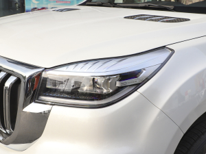 2022款2.0T 四驱智享型 5座 大灯