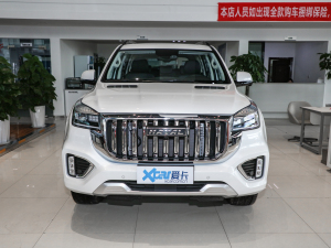 2022款2.0T 四驱舒适型 7座 正前