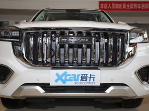 2022款2.0T 四驱舒适型 7座 中网