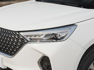 2021款PLUS 1.5T 手动舒享型 大灯