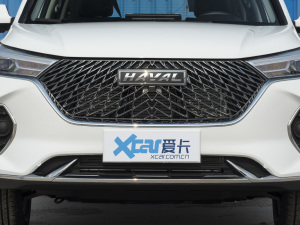 2021款PLUS 1.5T 手动舒享型 中网