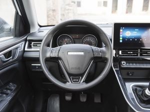 2021款PLUS 1.5T 手动舒享型 方向盘