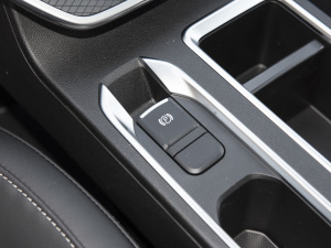 2021PLUS 1.5T ք v܇Ƅ