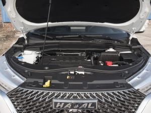 2021款PLUS 1.5T 手动舒享型 发动机
