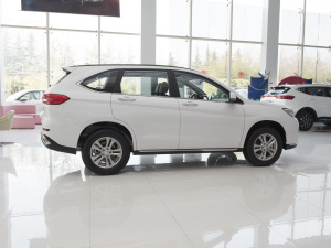 2021PLUS 1.5T DCT ȣң