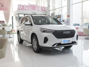 2021PLUS 1.5T DCT ǰ45