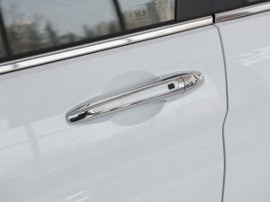 2021款PLUS 1.5T DCT舒享型 主驾门拉手