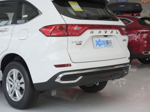 2021款PLUS 1.5T DCT舒享型 细节外观