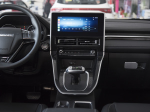 2021PLUS 1.5T DCT п_