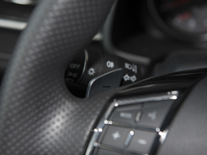 2021PLUS 1.5T DCT п؅^