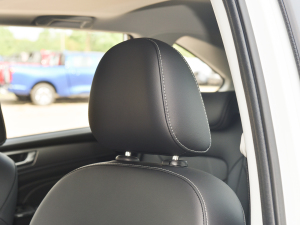 2022PLUS 1.5T ք(dng) g