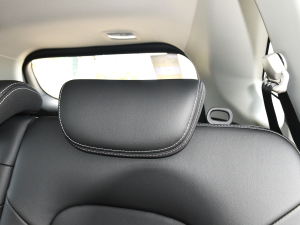 2022PLUS 1.5T ք(dng) g