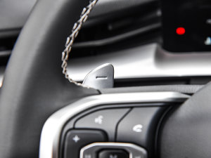 2022 1.5T Ԅ(dng)(q)Pro п؅^(q)