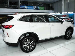 2022 1.5T ԄӃMax ȣң