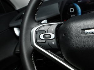 2022 1.5T ԄӃ(q)Max п؅^(q)