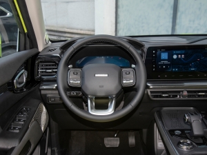 20221.5T DCT򌳱Ұ P