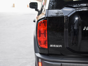 20221.5T DCT(q) (x)(ji)^